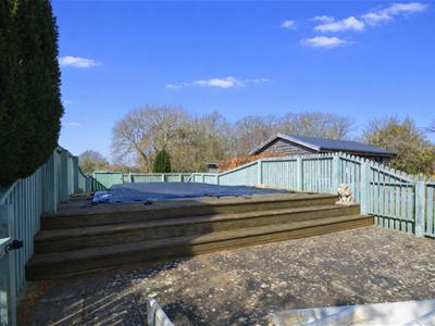 Picture 21
